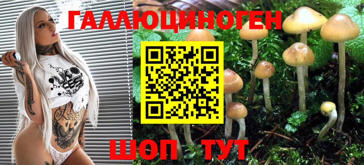 Псилоцибиновые грибы мухоморы Химки