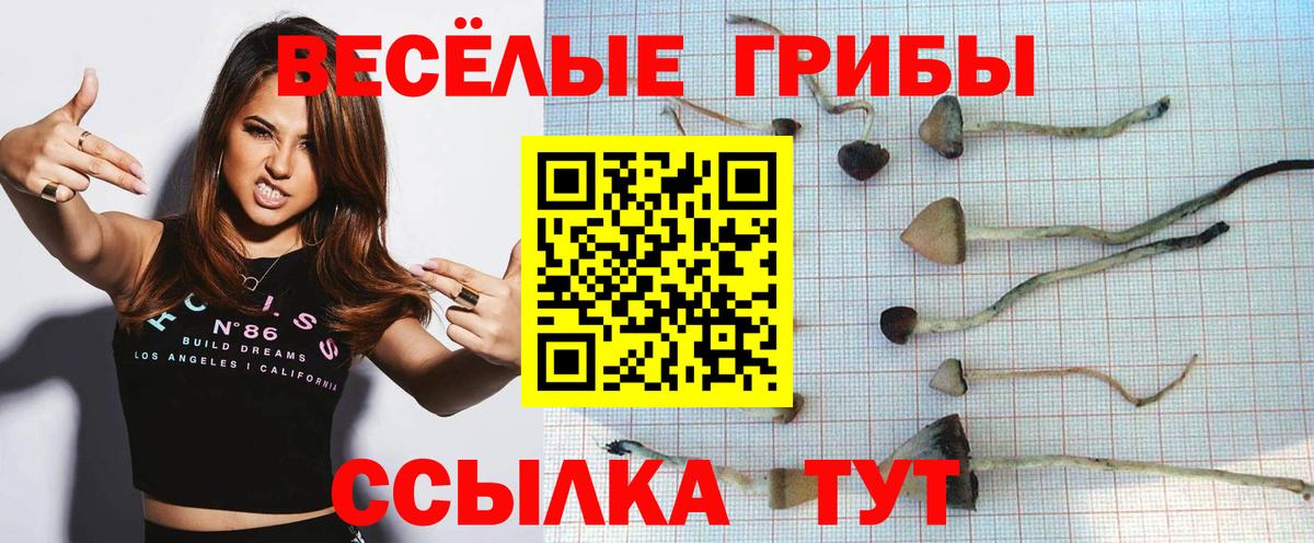 Химки  Галлюциногенные грибы мицелий  Вход с VPN 